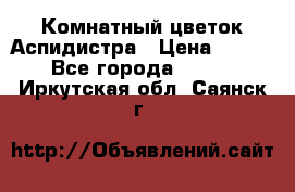 Комнатный цветок Аспидистра › Цена ­ 150 - Все города  »    . Иркутская обл.,Саянск г.